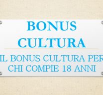 BONUS CULTURA 2001